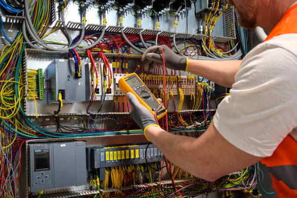 Best Affordable Electrician  in Naples Manor, FL