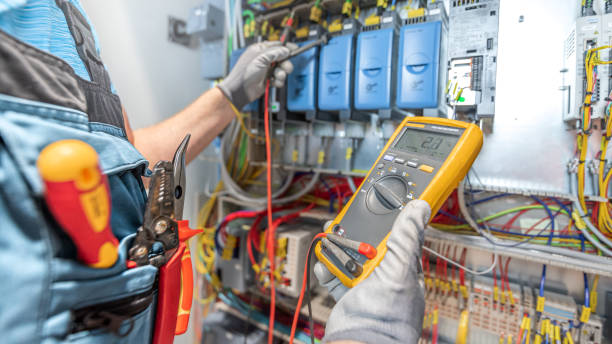 Best Electrician for Home Renovation  in Naples Manor, FL