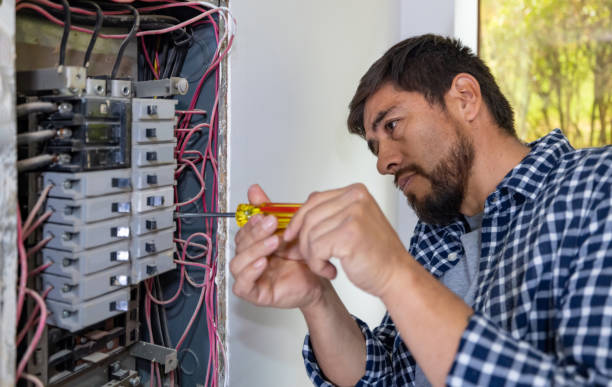 Best Generator Installation Services  in Naples Manor, FL